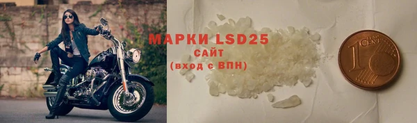 PSILOCYBIN Беломорск