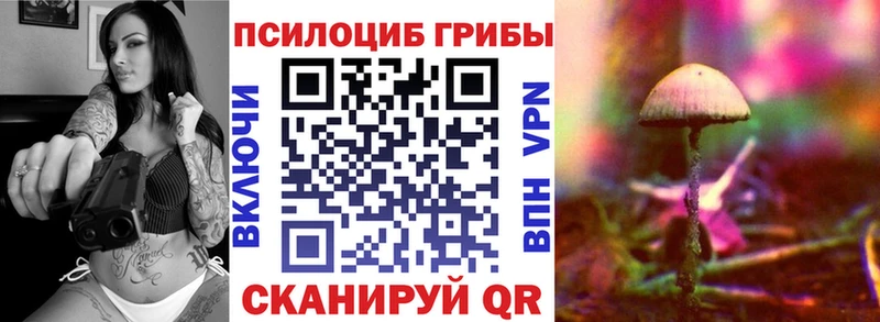 kraken зеркало  Дагестанские Огни  Галлюциногенные грибы MAGIC MUSHROOMS 