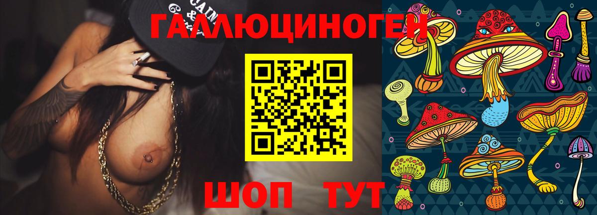 Псилоцибиновые грибы Psilocybine cubensis Дагестанские Огни