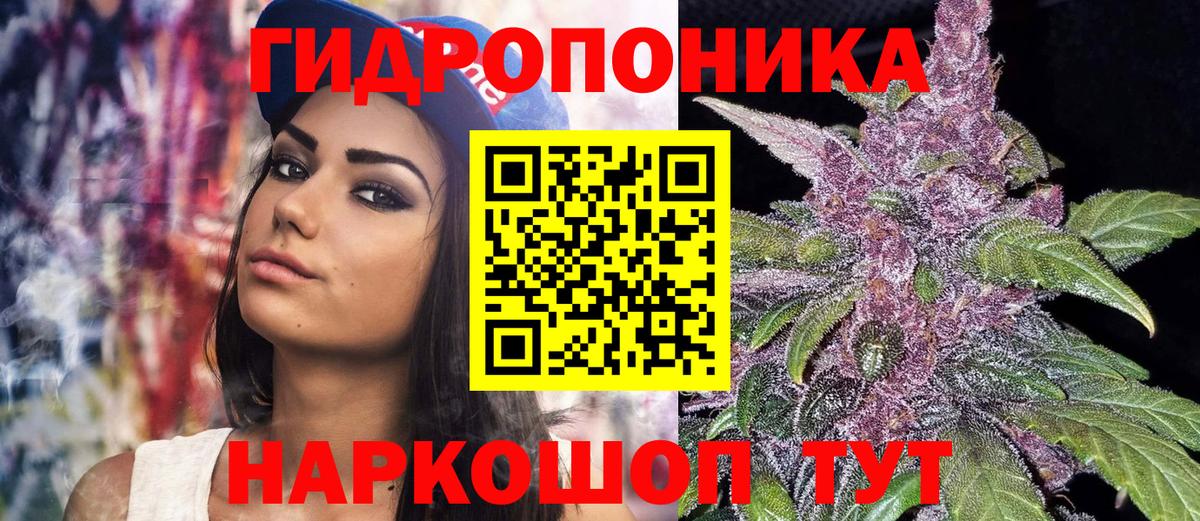 Конопля White Widow Дагестанские Огни